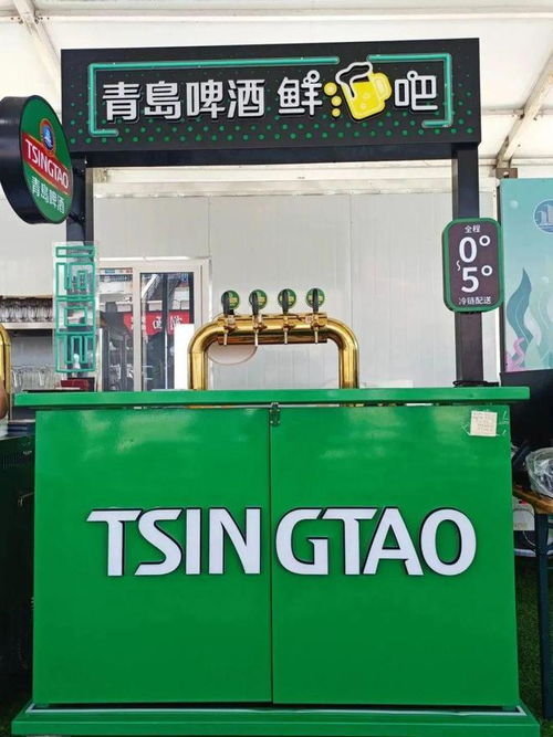 狂歡盛宴 青島干杯 金家?guī)X 極地ye 青啤大篷里都有啥